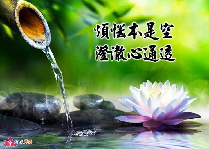 「金菩提」宗師 「煩惱本是空，澄澈心通透。」 金菩提禪語 網友分享