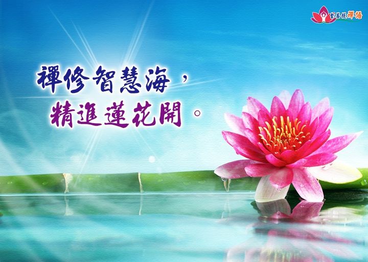金菩提宗師 「禪修智慧海，精進蓮花開。」金菩提禪語  網友分享