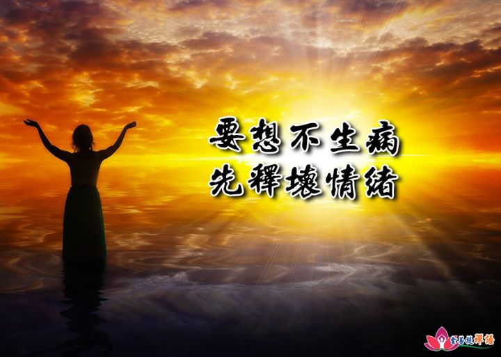 金菩提禪語 金菩提宗師「要想不生病，先釋壞情緒。」網友分享
